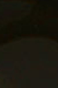 Glossy-Blackberry-Farbe