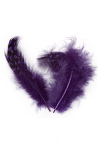 Nailart-Federn-violett