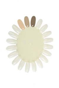 Präsentations-Display-natur