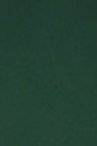 Farbgel-Eucalyptus-Green-Farbe